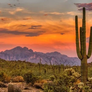 View of Peoria Arizona Sunset